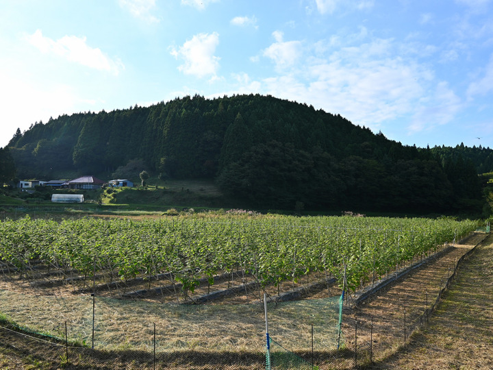 生産者のこだわり