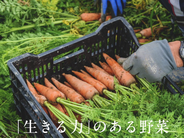 N ◎プロフご確認、、、さん専用有機野菜セット10品＋お米４Kg+デジマ２Kg 規格外増量】オーガニック野菜「シェフSセット」 しあわせ野菜畑