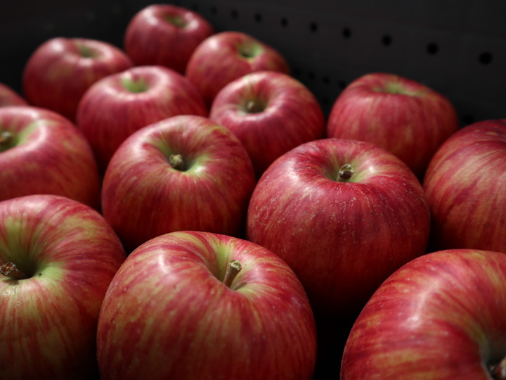 少ない農薬でおいしいりんご