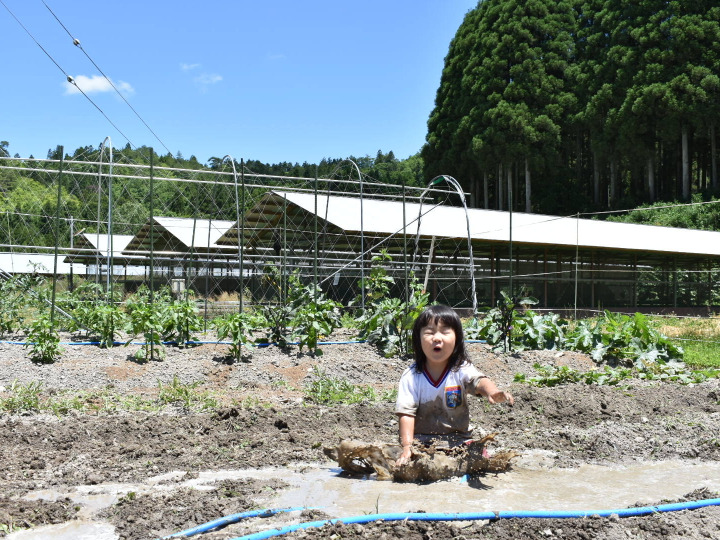 子育てと生き方