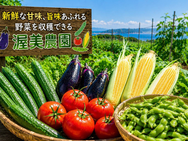 令和8年】新米コシヒカリ 群馬県東吾妻町産 10kg（5kg2袋）農家直送