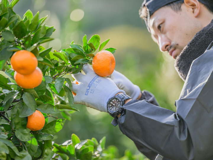 安心・安全と美味しいの両立