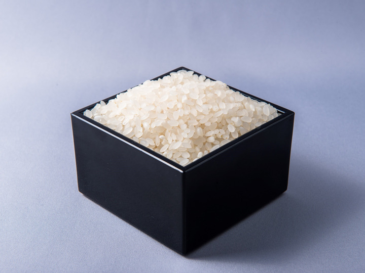 新米　山形県庄内産　中粒米　白米5kg