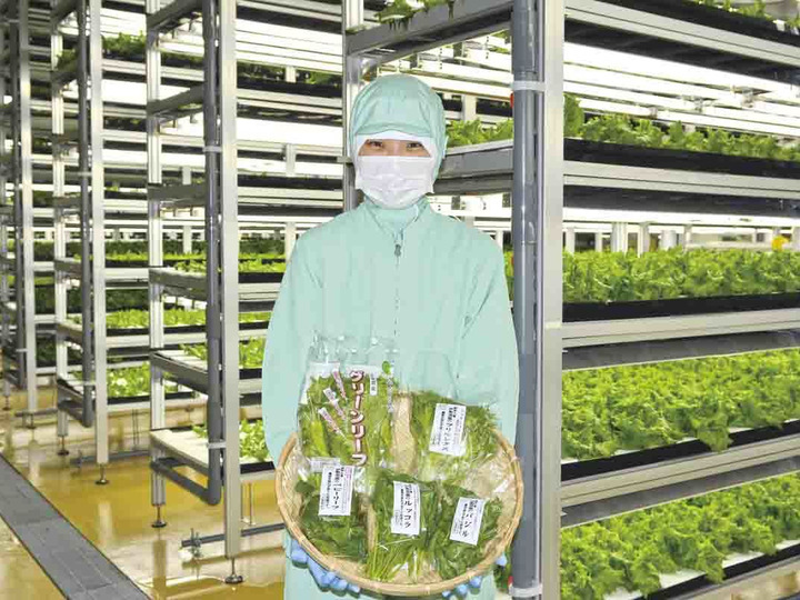 伊勢菜園の野菜は自信を持って言える新鮮さ!