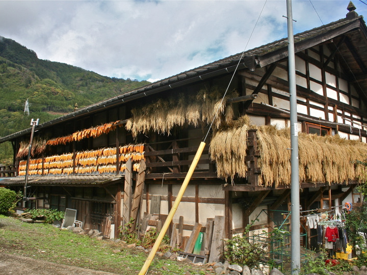 Yotacco よたっこ の紹介 群馬県 食べチョク 農家 漁師の産直ネット通販 旬の食材を生産者直送