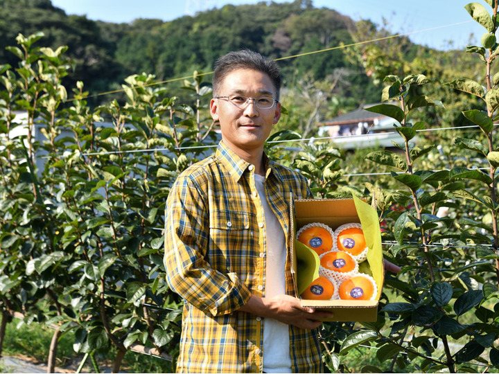 大玉果の生産に力を入れています。