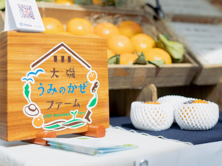超希少☆新品種】『麗玉（れいぎょく）柿』6～8個入り（約2kg