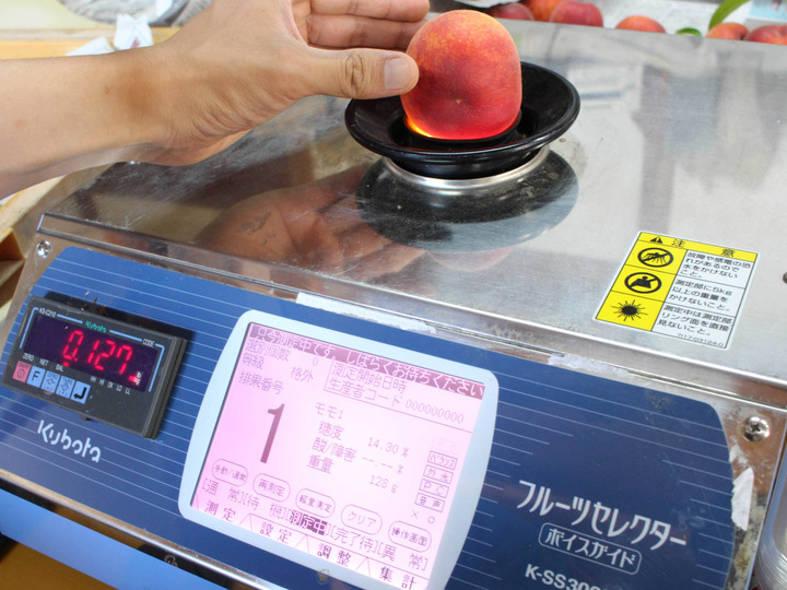 生産者のこだわり