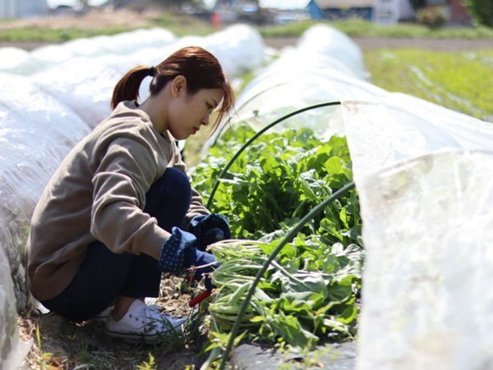 生産者のこだわり