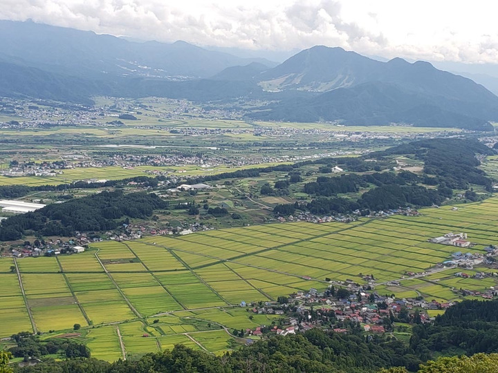 田んぼの場所を厳選!