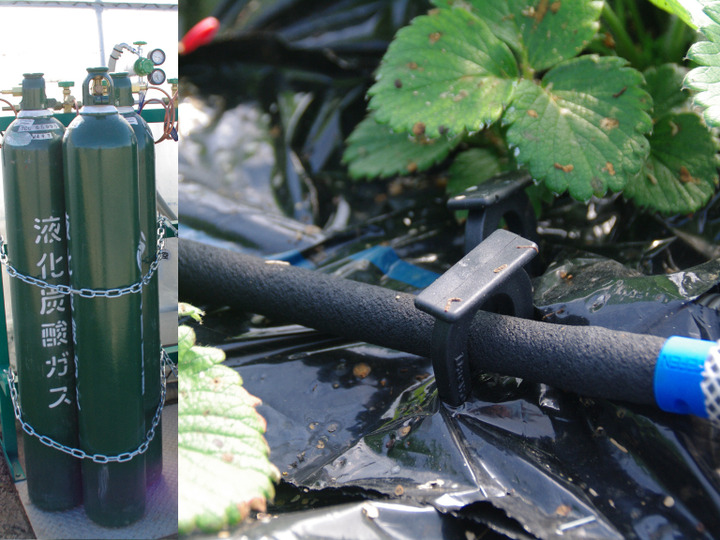 環境負荷の少ない栽培