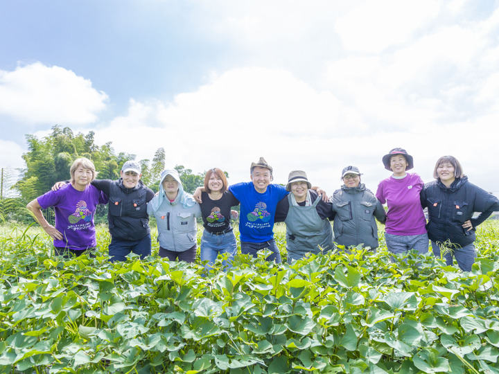 安心で安全な野菜づくり