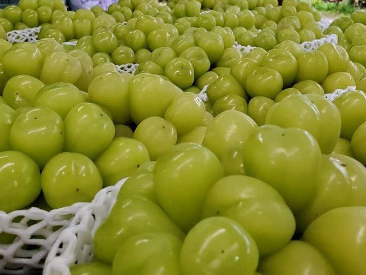 生産者のこだわり