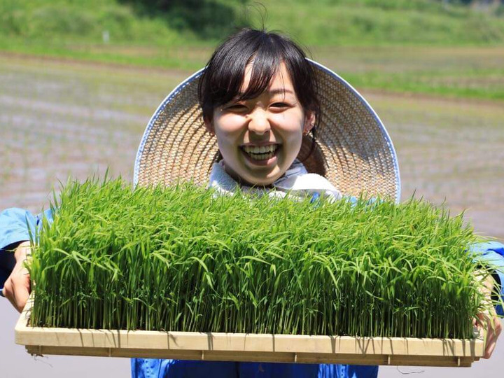 水稲栽培では慣行農法の3割程度、畑作では無農薬を基準に栽培しております。