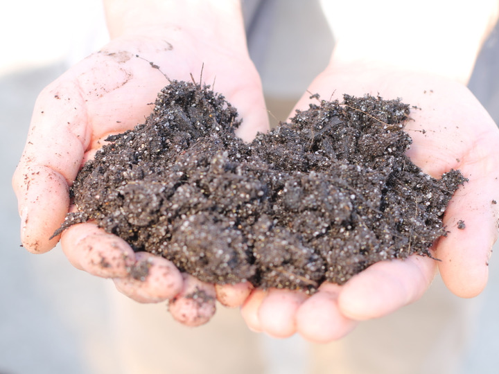 とことんまでこだわる！ オリジナル配合肥料を使って栽培