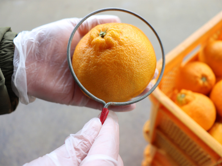 生産者のこだわり