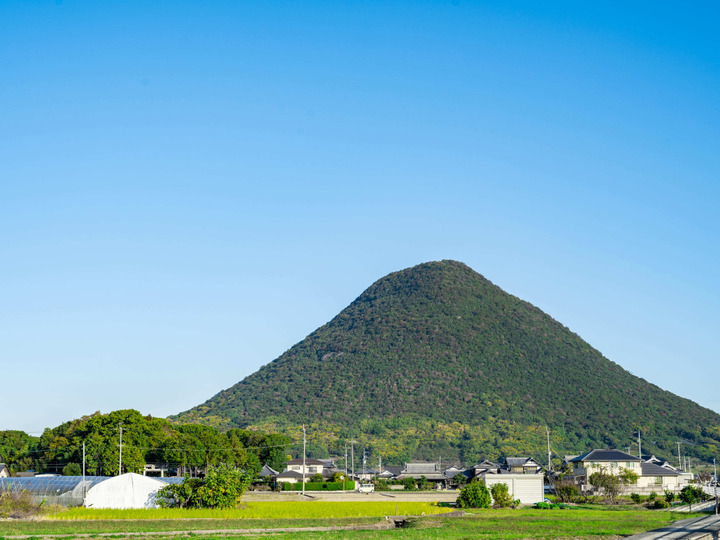 生産者のこだわり