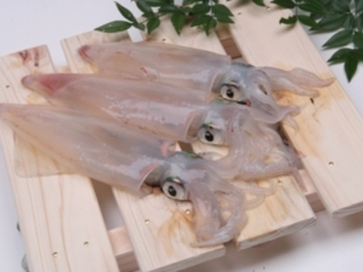 生産者のこだわり