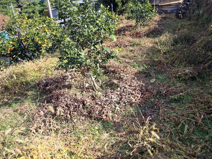 自然に負荷をかけない農業