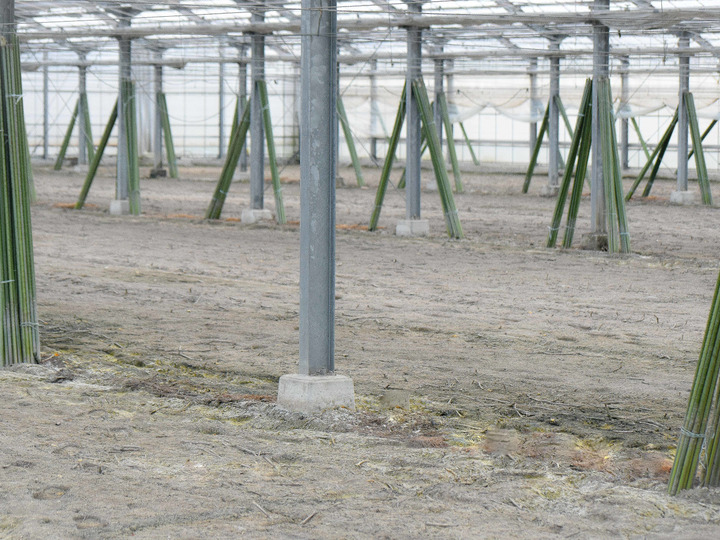 有機肥料で栽培