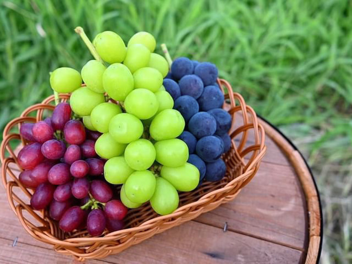 巨峰•シャインセット4kg：栃木県産の巨峰｜食べチョク｜産地直送(産直