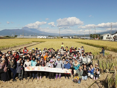 高アミロース・低GI米！豊受白米5㎏【2025年産】