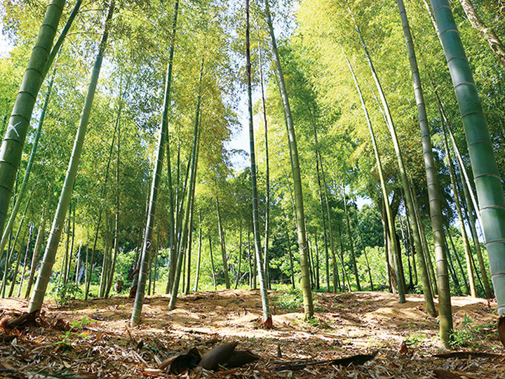 四季折々の自然の営みに合わせた里山農園