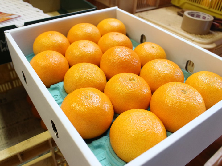 食べチョク内では少ないハウス温室栽培❕❕超お得❕❕ 家庭用恋