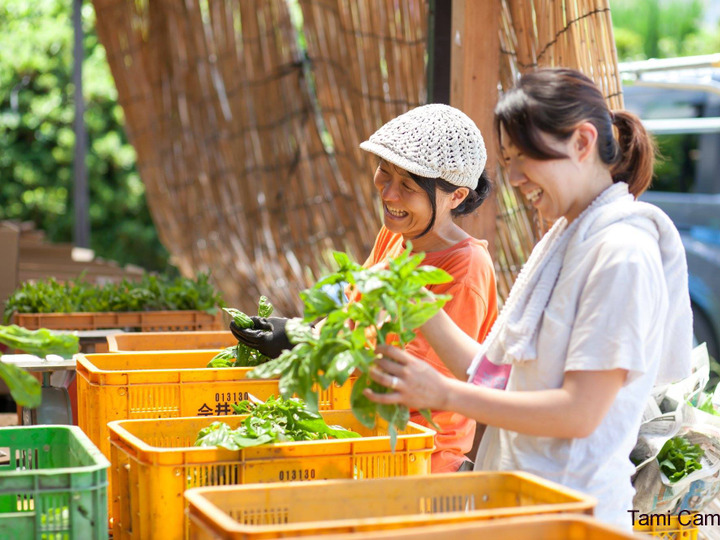 農薬や化学肥料不使用の「心と身体が喜ぶ野菜」をお届けします!