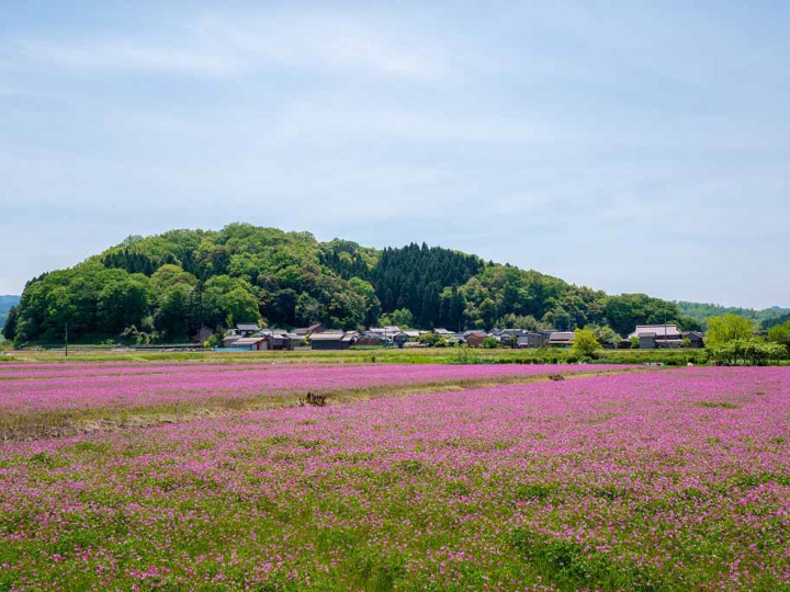 養蜂を100年以上続けてきた歴史