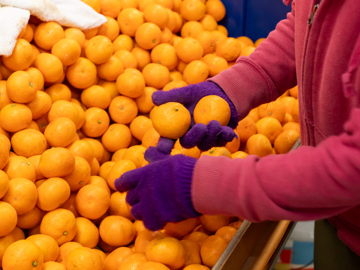 生産者のこだわり