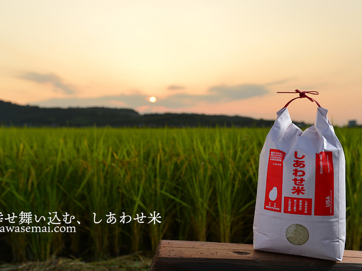 ベビーグッズも大集合 自然栽培のしあわせ米『真空パック玄米』900g：大分県産のお米 米・雑穀・粉類