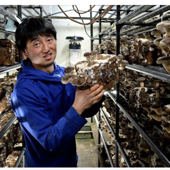 きのこハウスひらもと