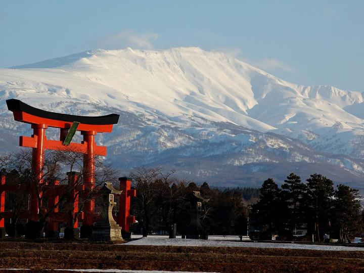 天然山菜】月山筍 3㎏ 【朝採り】：山形県産のその他たけのこ