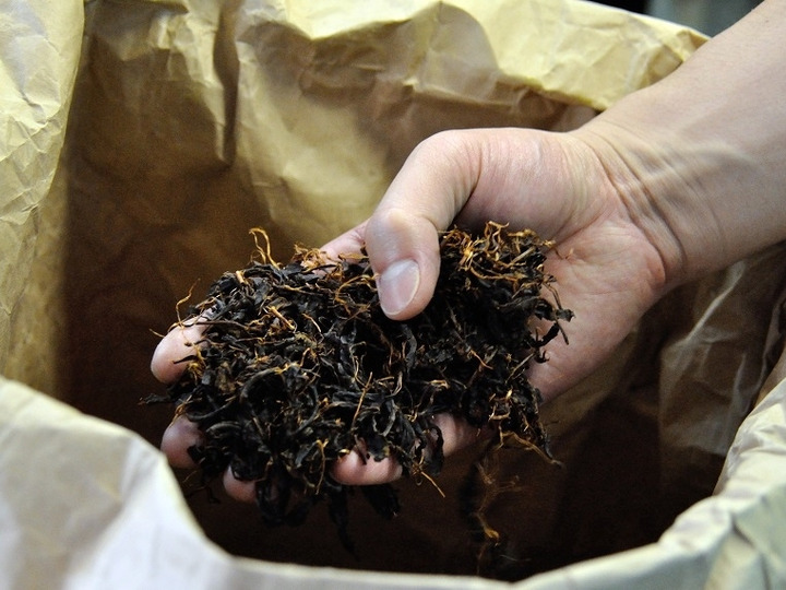 幻の国産紅茶「有機和紅茶澪-mio-」ティーバッグ 10袋セット：岐阜県産の紅茶｜食べチョク｜産地直送(産直)お取り寄せ通販 -  農家・漁師から旬の食材を直送