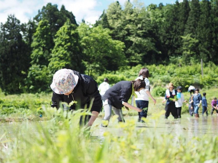 里山に“なりわい”を生み出したい