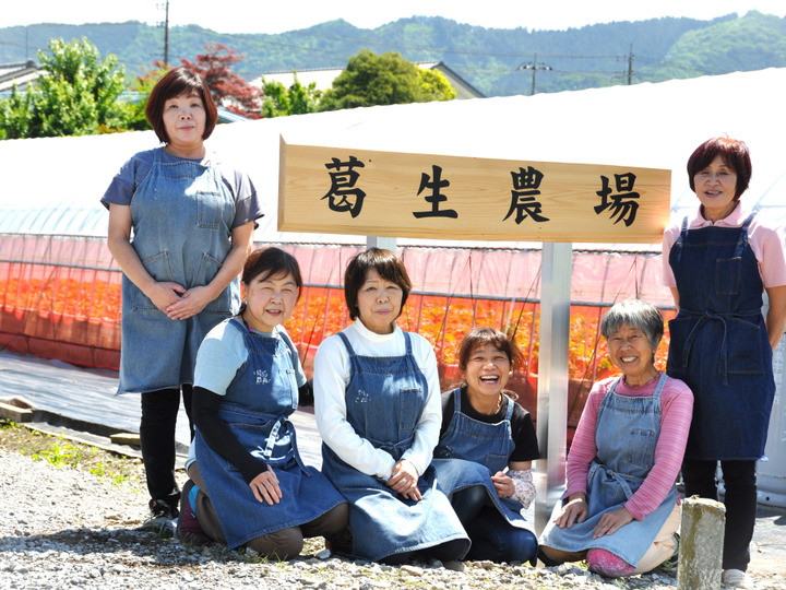 生産者のこだわり
