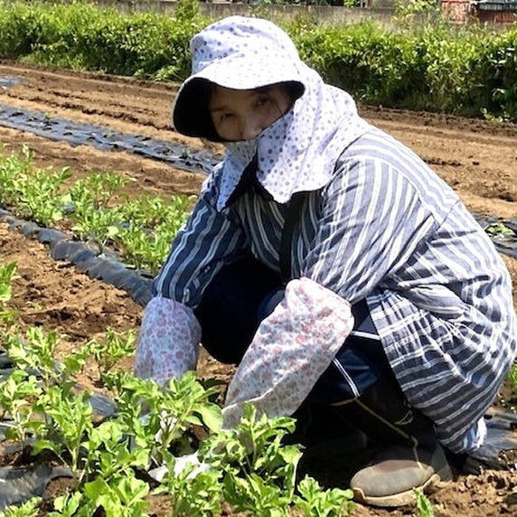 Crane Hills Farm（クレインヒルズ ファーム）