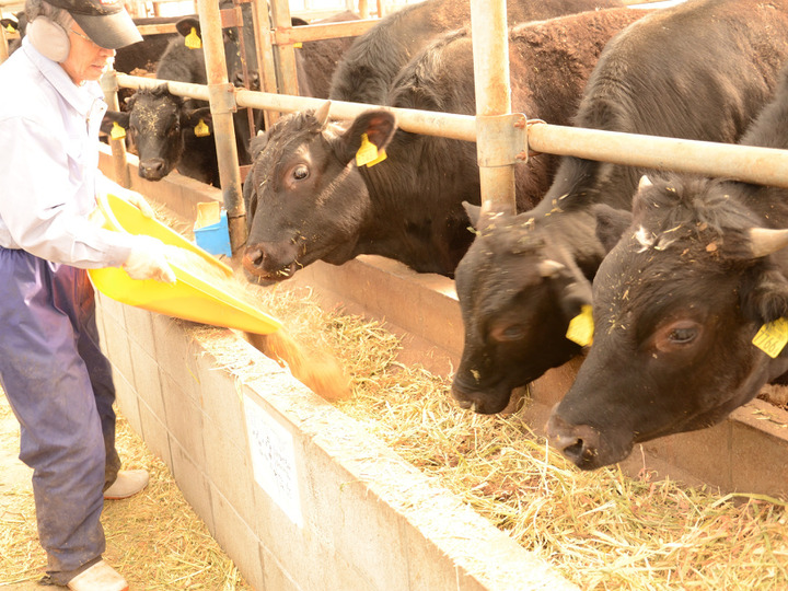調理済】牛ももローストビーフブロック400g：新潟県産のその他牛肉｜食べチョク｜産地直送(産直)お取り寄せ通販 - 農家・漁師から旬の食材を直送