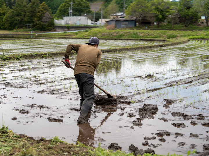 生産者のこだわり