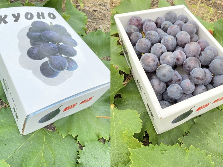 生産者のこだわり
