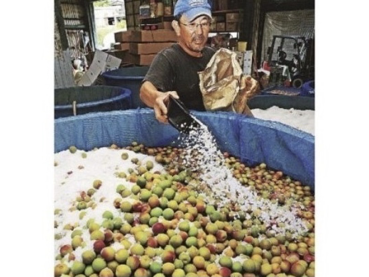 生産者のこだわり