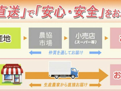 朝採れ 鹿児島県指宿産 スナップエンドウ 1.8kg（鹿児島県指宿市産）