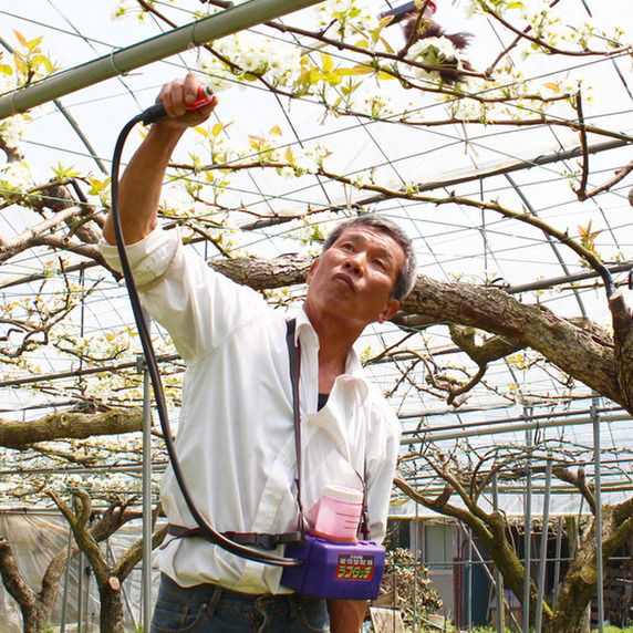 すべての生産者|91ページ目|食べチョク|産地直送(産直)お すべての生産者|91ページ目|食べチョク|産地直送(産直)お