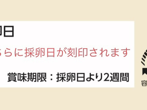 おまとめ🉐パック　あずさ150個