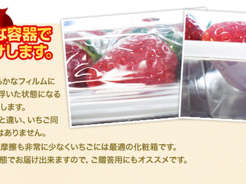 【ギフト可】完熟いちご化粧箱入り2箱【計24粒～33粒】