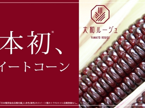 【赤いとうもろこし】軽井沢産高原野菜 大和ルージュ 赤いスイートコーン とうもろこし小さめ10本セット