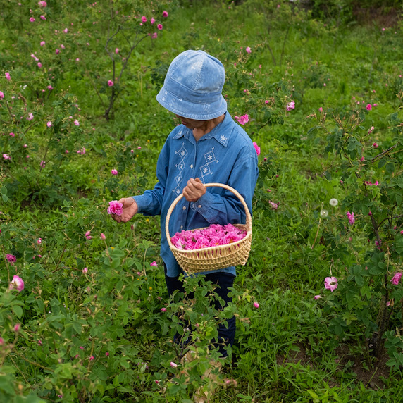 ふじさん花の蒸留所　ROSE FARM