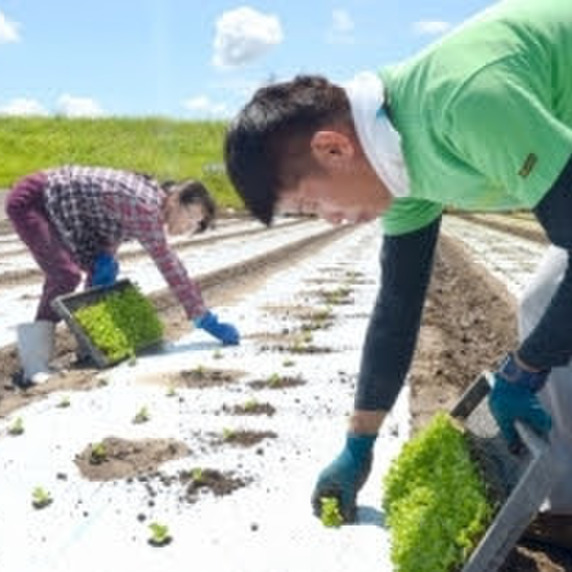 ６丁目TAKAKI  FARM