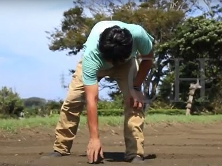 土